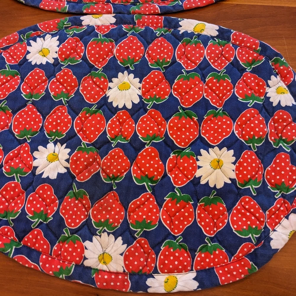 Vtg Placemats Strawberries Daisies Oval Quilted Kitchen Dining Corragecore Charm